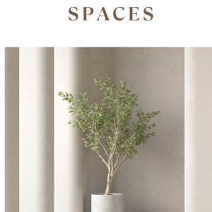 Pixel Perfect Spaces